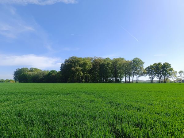 Foto von Wald & Feldmix Brechten, hochgeladen von Matti _fpvfpv